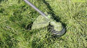 EGO strimmer